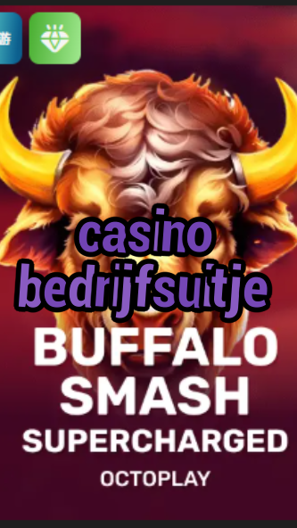 casino bedrijfsuitje-w4cy2mdjlx2bf.com